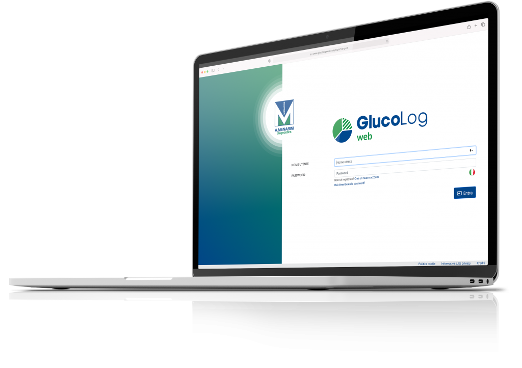 GlucoLog Web Laptop